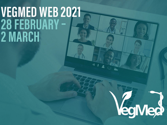 vegmed-web-2021